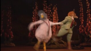 My favorite part of the Royal Opera House Ballet's "The Stories of Beatrix Potter"! The ballerinas i