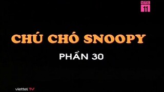 Chú chó Snoopy (Phần 30)