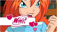 Winx Club - Sezon 3 Bölüm 7 - Işık Misafiri