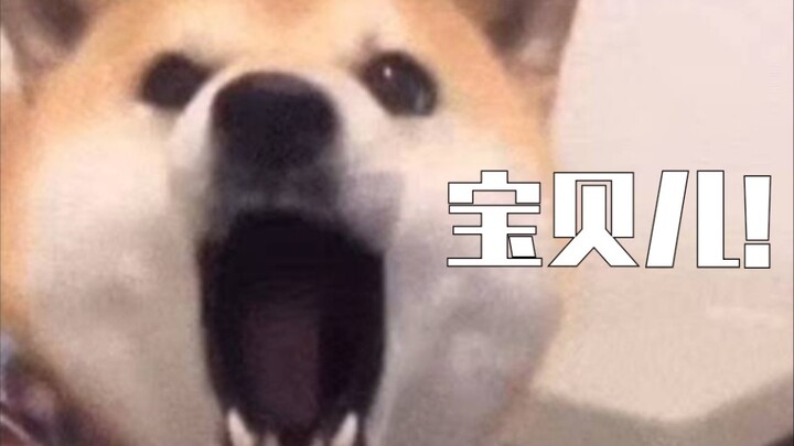林凡给陆柯燃打电话