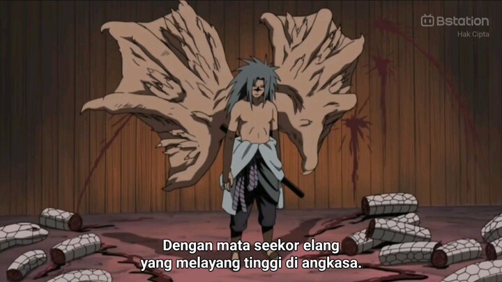 SUDAH TAKDIRNYA ULAR MENJADI SANTAPAN ELANG