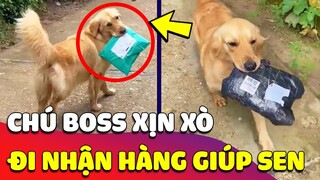 Ở với Sen NGHIỆN MUA SẮM, Boss vô tình trở thành NGƯỜI VẬN CHUYỂN và cái kết cực đau ví 😂 Gâu Đần