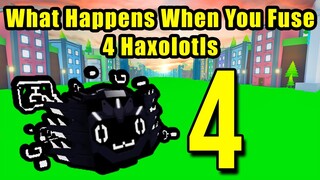 What Happens When You Fuse 4 Haxolotl in Pet Simulator X