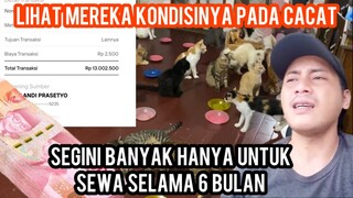 Sedih Saatnya Perpanjang Sewa Rumah Tempat Tinggal Kucing -Kucing Jalanan Pertahun 26 Juta..!