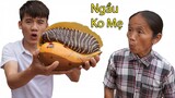 Hưng Vlog - Thử Thách Mẹ Ăn Con Ốc Giác Vàng Khổng Lồ 3Kg Thua Phạt 10 Triệu