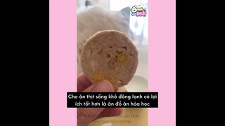 [Vietsub] Đã phận con sen thì không phân biệt tuổi tác (Phần 4) | Ổ nhỏ của Hoài