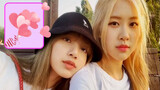 A mashup video of Rose and Lisa of BLACKPINK