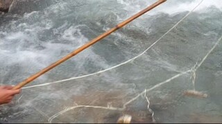 fishing in Nepal | asala fishing | net fishing | himalayan trout fishing |