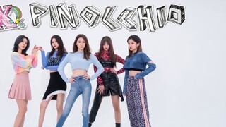 หน่วยความจำกลุ่มรุ่นที่สอง | Periwinkle กลายเป็นทะเลฟังก์ชันวง F(x) "Pinocchio" คัฟเวอร์เพลงเต็ม [ที