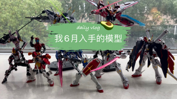 6月模型小总结