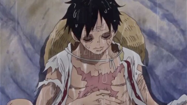 Luffy’s determination >>>