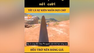 follow và thả ❤️ cho mình nhareviewphim phimhay xuhuong trending