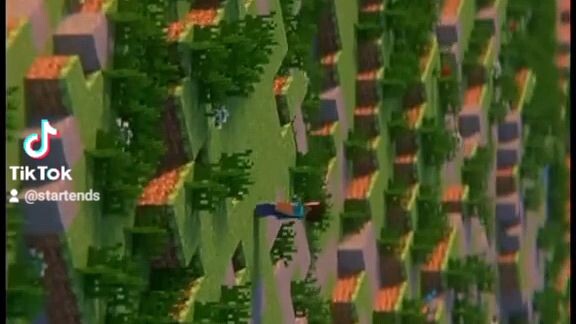 The beauty of Minecraft