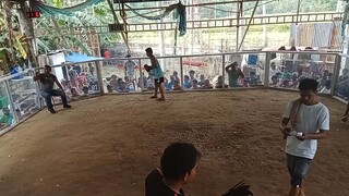 1st fight draw