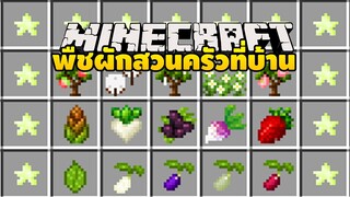 มายคราฟ ช่วงนี้ต้องกักตัว..มีเมล็ดเด็ดๆมาให้ปลูก [มอด HarvestCraft] Minecraft