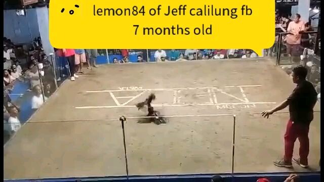 lemon84 of Jeff calilung fb