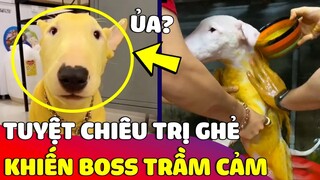 Chú Boss 'TRẦM CẢM' khi được con Sen 'TRỊ GHẺ' bằng phương pháp có 1 không 2 😅 Gâu Đần