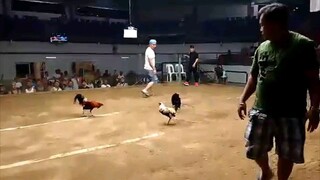 (Super Talisayin) by boss MAC² tinadtad yung kalaban