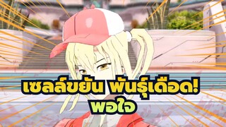 เซลล์ขยัน พันธุ์เดือด!|[MMD] จนกว่าฉันจะพอใจ (รีเซ็ตเวอร์ชัน)