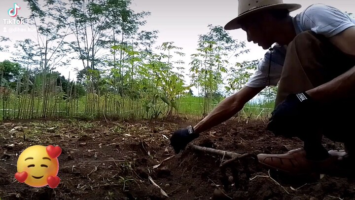 Mari Berkebun