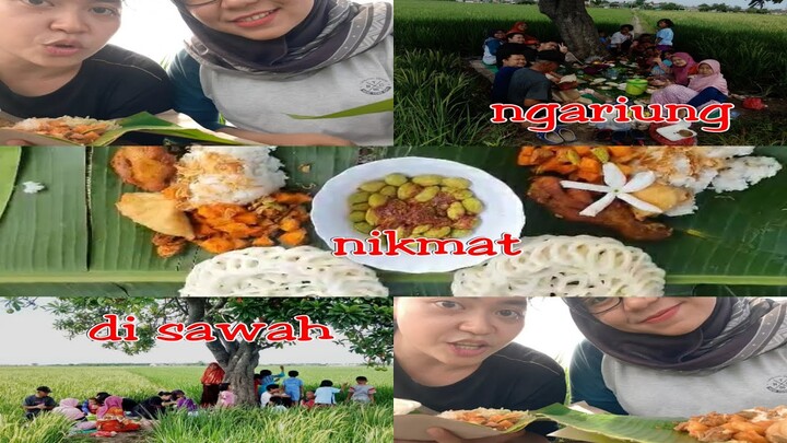 NGARIUNG DI SAWAH SAMBIL MAKAN NASI LIWET TERLENGKAP NIKMAT