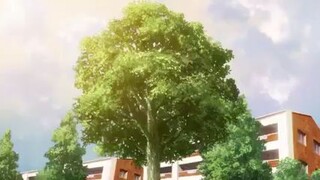 Blue Spring Ride