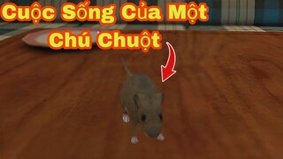 Thử Biến Thành Chuột Và Khám Phá Cuộc Sống Của Chuột Trong Một Ngày Sẽ Như Thế Nào