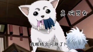 Gintama funny scenes