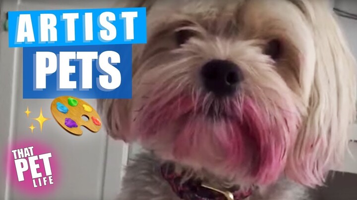 Pets Who Think They’re Picasso