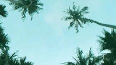 Cuốn Sách Kỳ Diệu Mùa Hè EP 3 [Sub Việt]