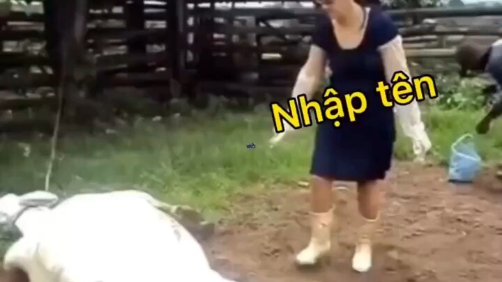 Ôi cụ ơi🤣