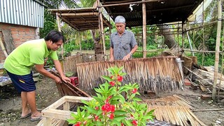 Chòi Ngập Nước Quá Rồi Chắc Phải Dỡ Ra Thôi, kiếm Chỗ Trồng Rau Sạch