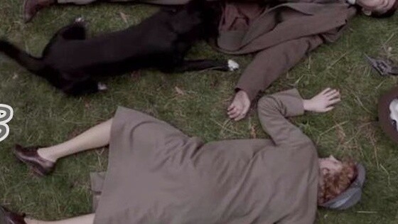 【菇々】A loving couple is not in harmony with each other. Who fired the first shot? Watch "Elephant's T