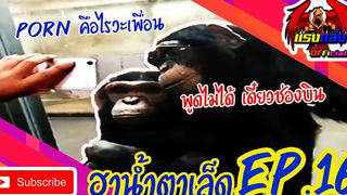 รวมคลิปตลก คลายเครียด ทั้งขำทั้งสงสาร EP16 ที่อดอมยิ้มไม่ได้ Jokes in everyday life