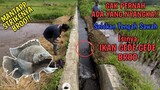 ASYIKNYA Mancing Di Selokan Tengah Sawah IKANYA GEDE GEDE!!