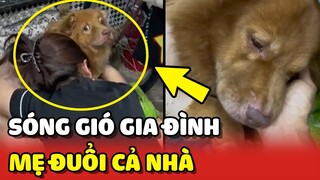 "SÓNG GIÓ GIA ĐÌNH" khi cả nhà đều bị mẹ ĐUỔI ĐI 😅 | Yêu Lu