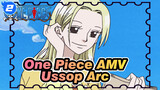 [One Piece AMV]Ussop Arc / Listen, Protect Kaya And This's the Order From the Captian_2