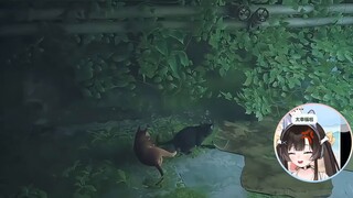 Hướng dẫn âm thanh clip cậu bé mèo ♂ ♂