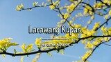 Larawang Kupas - Jerome Abalos ( KARAOKE )
