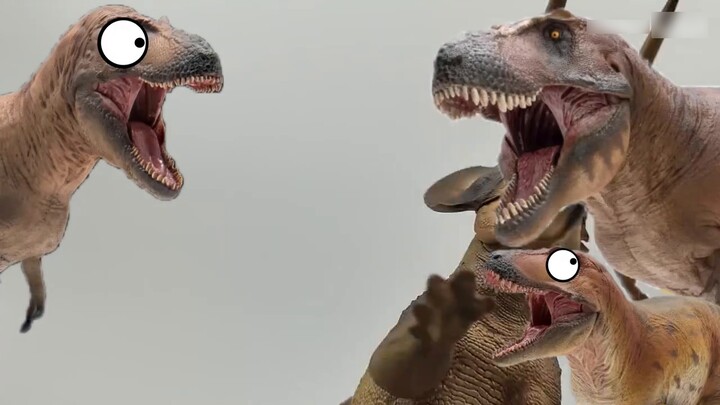 Apakah ada anggota baru keluarga Tyrannosaurus rex? Model PNSO Daspletosaurus Cole