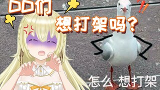 [First meeting, cute, fight] When we first meet, can we fight with DD to increase our friendship and