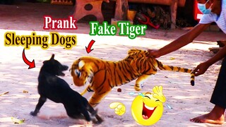 Fake Tiger Prank Sleeping Dogs | Very Surprise Sleeping Dogs With Fake Tiger Prank