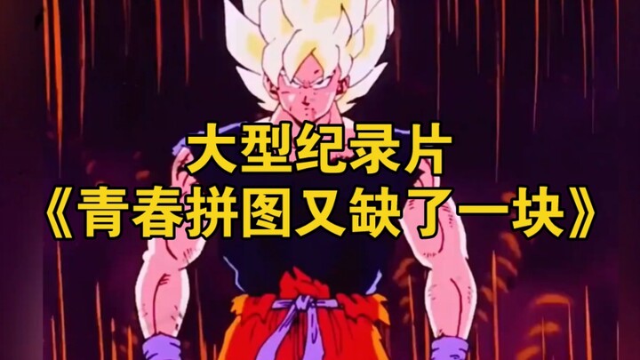 大型纪录片《青春拼图又缺了一块》持续为您播出！