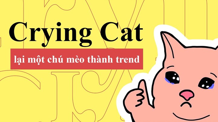 Thumbs Up Crying Cat Meme | Nguồn Gốc Meme Chú Mèo " Lệ Rơi " Huyền Thoại | Từ Điển Internet