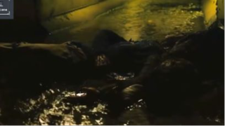 Ký Sinh Vật Chết Chóc part 4#reviewfilm #Cutscene #Koreamovie