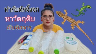 ทำกับดักจิ้งจก หาวัตถุดิบ ให้พ่อใหญ่หวัง เปิบพิสดาร โหดแซ่บนัว