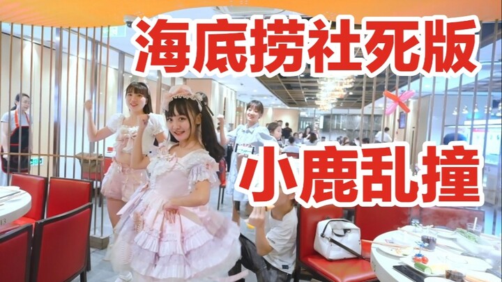 在海底捞跳舞是什么体验？服务员都蚌埠住了！！！