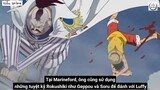 Tập 1: Top 10 Hải Quân Tàn Bạo Nhất, Khét Tiếng Nhất Lịch Sử One Piece - Sabo Anime