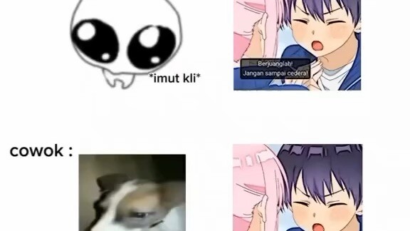 Wibu Halu