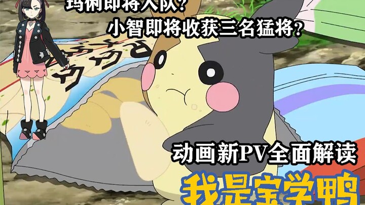 玛俐即将进入主角团？小智即将收获能Mega进化的精灵？动画PV全面解读 【我是宝学鸭 第三期】